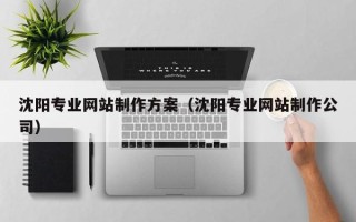 固安沈阳专业网站制作方案（沈阳专业网站制作公司）